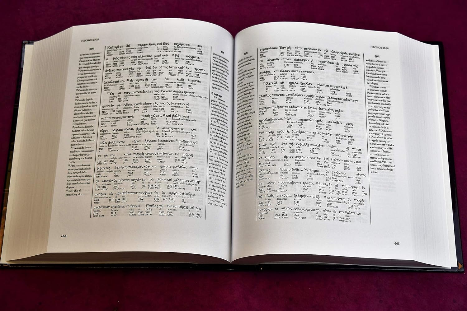 Interlineal académico del Nuevo Testamento: Griego-Español - Image 3